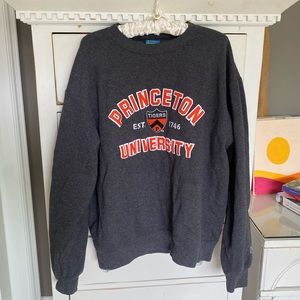 Champion Princeton University Sweatshirt